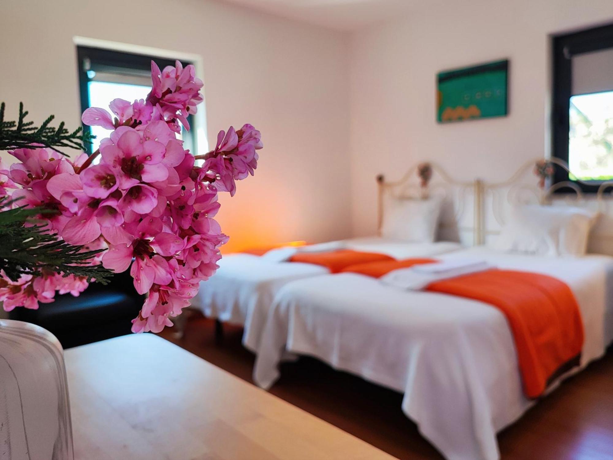 אמרנטה Agroturismo Quinta De Travancela מראה חיצוני תמונה