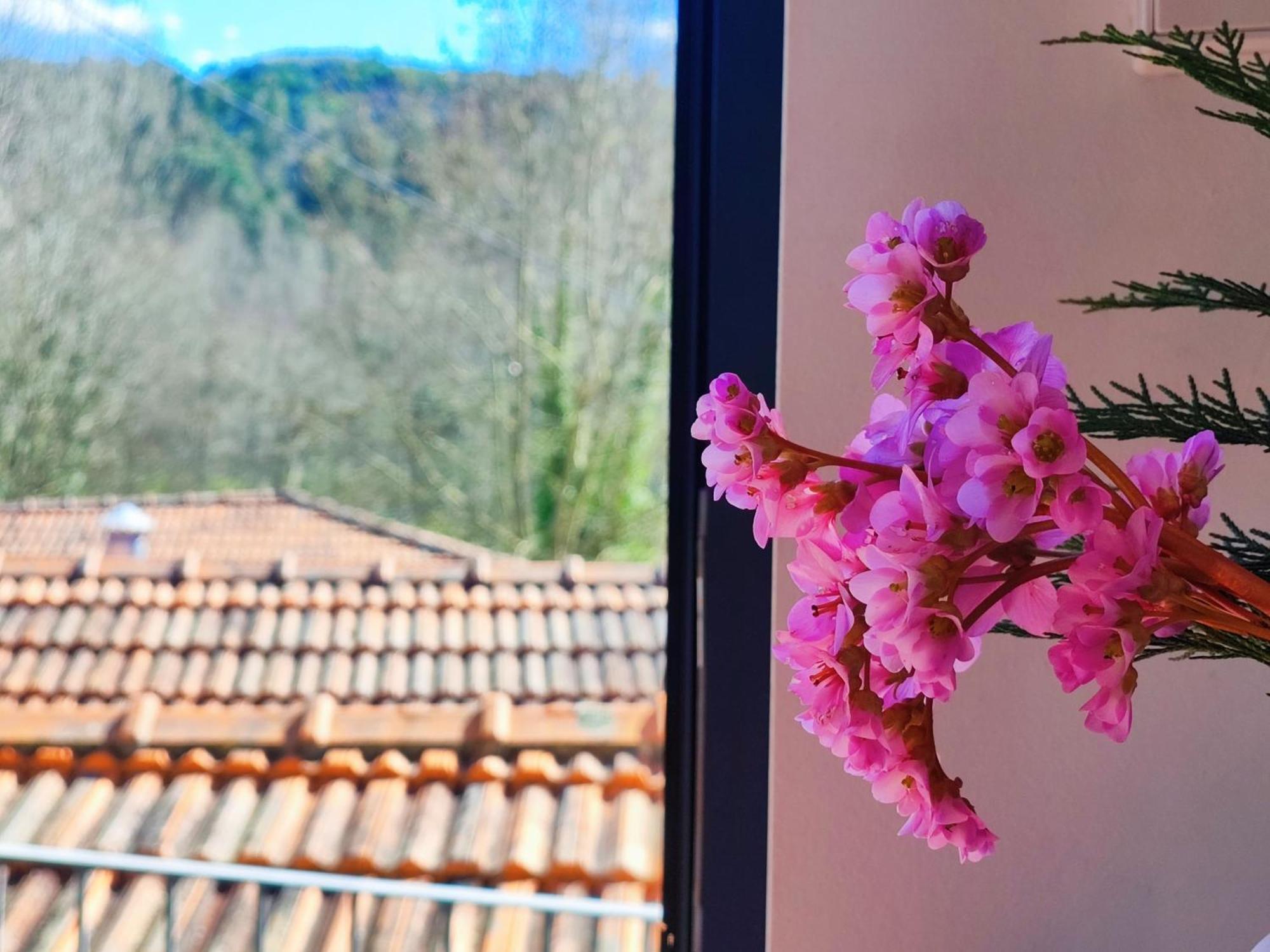אמרנטה Agroturismo Quinta De Travancela מראה חיצוני תמונה