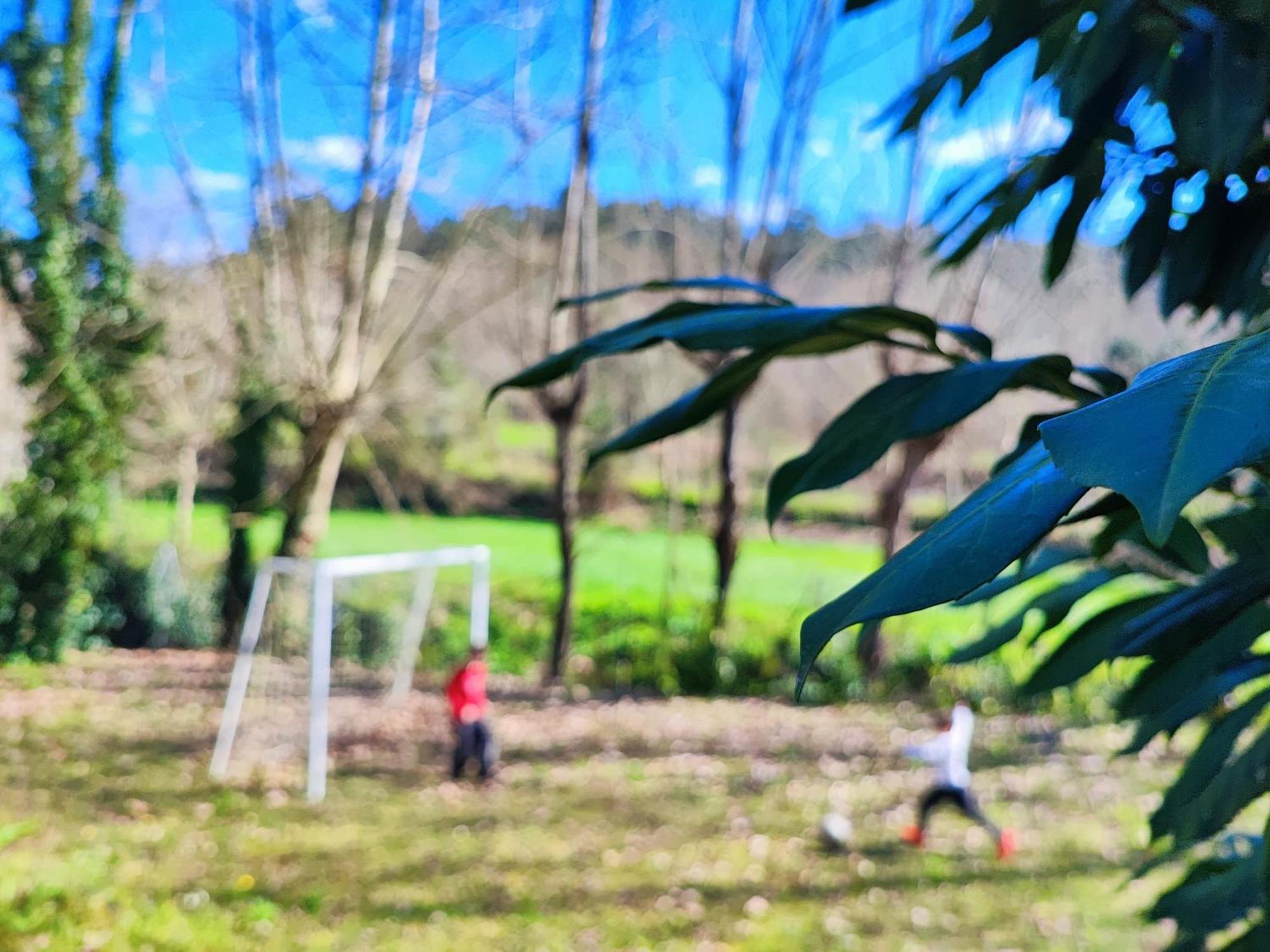 אמרנטה Agroturismo Quinta De Travancela מראה חיצוני תמונה