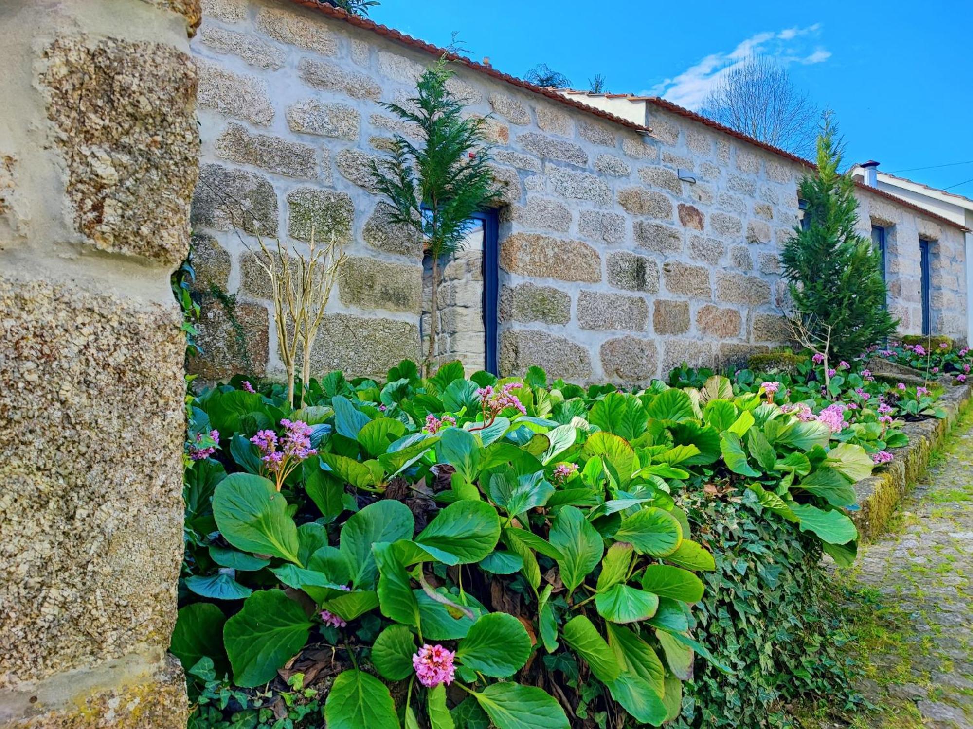 אמרנטה Agroturismo Quinta De Travancela מראה חיצוני תמונה